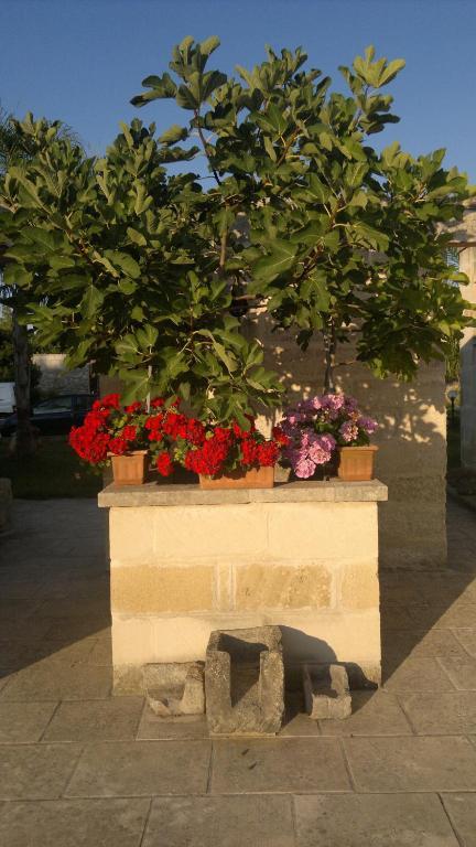 Masseria Grande Hotel Torre dell'Orso Bagian luar foto